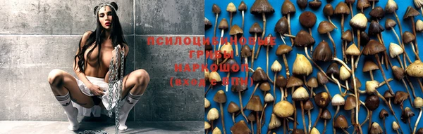 прущая мука Баксан