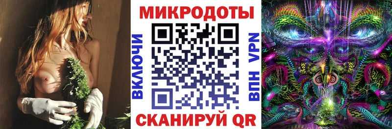Псилоцибиновые грибы прущие грибы Кондрово